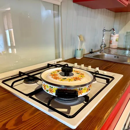 Appartement Il Lauro - House -